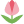 flower-1